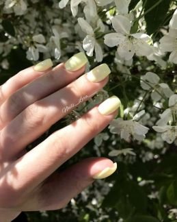 Маникюр педикюр  Армавир