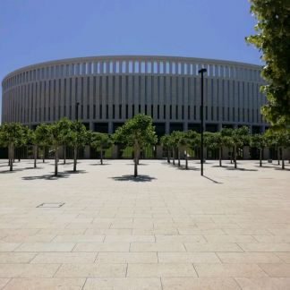 Подособные-землекопы  - купить на сайте объявлений Краснодар онлайн