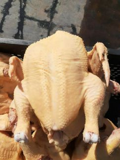 Цб тушки  Армавир