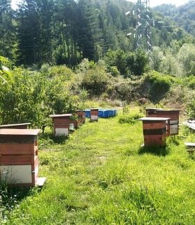 Продажа мёд  Армавир