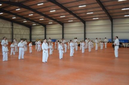 Набор детей в группу каратэ  Армавир