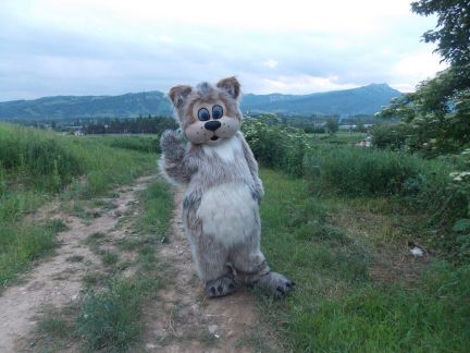 Праздник Радуга  Армавир