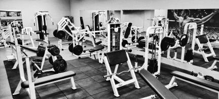 Тренажерный зал Animal GYM 2.0  Армавир