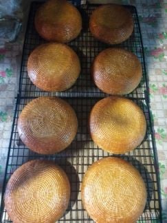 Адыгейский сыр,Сулугуни нитки косички  - купить на сайте объявлений Краснодар онлайн