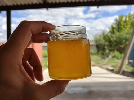 Армавир  Армавир