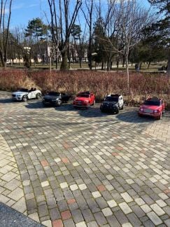 Реализатор на детский прокат  - купить на сайте объявлений Краснодар онлайн