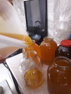 Мёд мед  Армавир