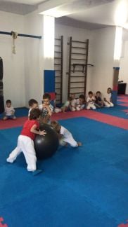 Дзюдо - секция для детей (личный тренер)  Армавир