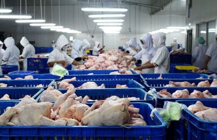 Разнорабочий на производство (вахта Крым)  - купить на сайте объявлений Керчь онлайн