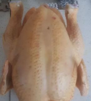 Домашние куры оптом  Армавир