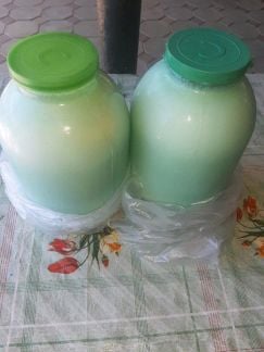 Продаю домашнее молоко, мацони  - купить на сайте объявлений Краснодарский край онлайн