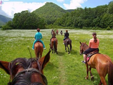 Конные маршруты, катание на лошадях в Шапсуге  Армавир