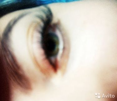 Наращивание ресниц от 600  Армавир