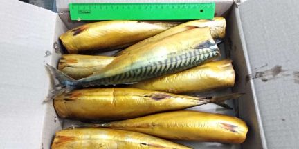 Рыба от производителя  Армавир