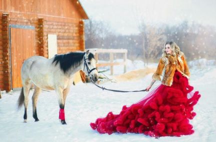 Конные прогулки в Новодмитриевской  - купить на сайте объявлений Краснодарский край онлайн