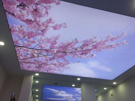 Натяжные потолки  Армавир