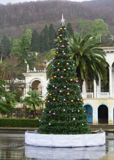 Ежедневные экскурсии в Абхазию  Армавир