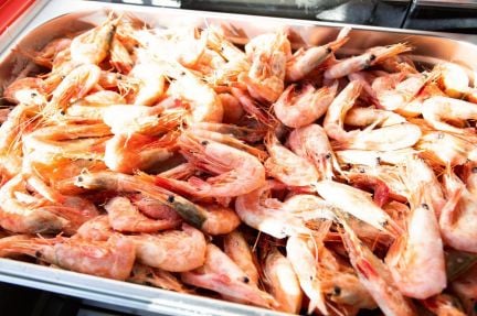 Доставка море продуктов  Армавир