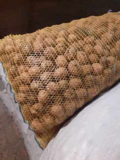 Армавир  Армавир