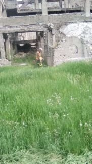 Газонокосильщик  - купить на сайте объявлений Новороссийск онлайн