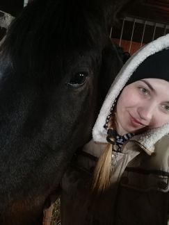 Прокат на лошади и пони  Армавир