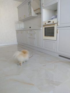 Ремонт квартир домов коттеджей офисов под ключ  Армавир