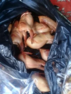 Копчёные перепела  Армавир