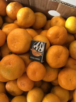 Армавир  Армавир