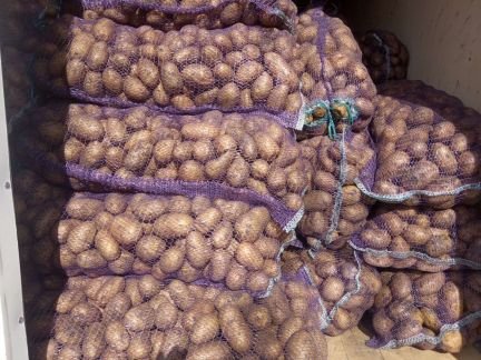 Картофель  Армавир
