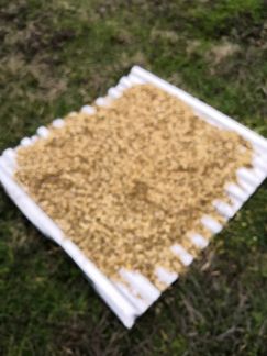 Щепа плодовых деревьев  Армавир