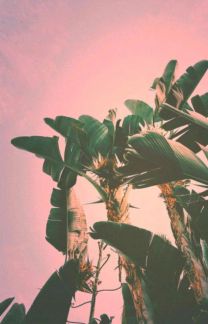 Консультационные услуги. Представительство  - купить на сайте объявлений Армавир онлайн