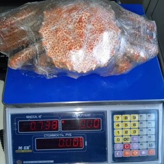 Краб волосатик  Армавир