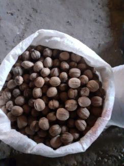 Грецкий орех  Армавир