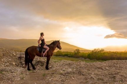 Конные прогулки в Геленджике  Армавир