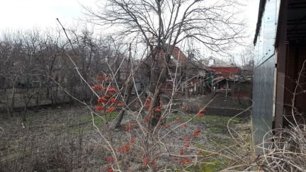 Участок 3 (ИЖС)  - купить на сайте объявлений Армавир онлайн