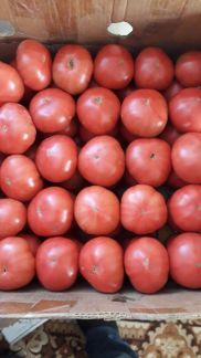 Питание  - купить на сайте объявлений Армавир онлайн