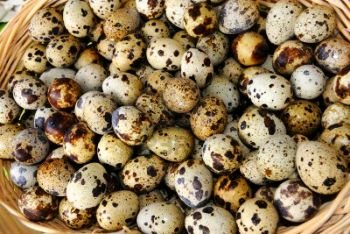 Перепелиные яйца  Армавир