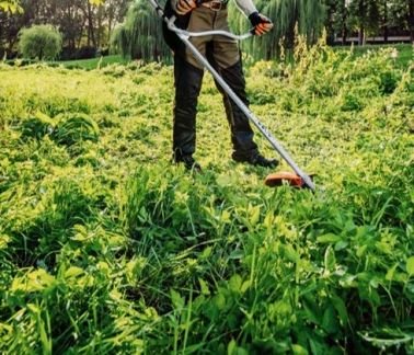 Покос любой растительности и уборка территории  - купить на сайте объявлений Армавир онлайн