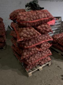 Картофель  Армавир