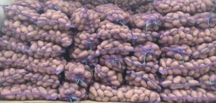 Картофель  - купить на сайте объявлений Армавир онлайн