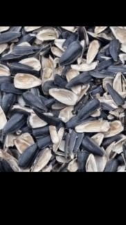 Семечковая лузга шелуха доставка  - купить на сайте объявлений Армавир онлайн