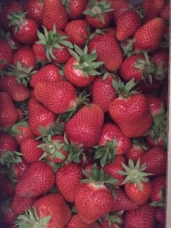 Клубника  - купить на сайте объявлений Армавир онлайн