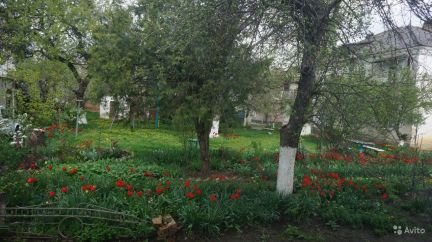 Продам 3х-комнатную квартиру, 65 м кв., 1/2 эт.  - купить на сайте объявлений Армавир онлайн